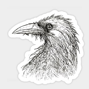 Raven Sticker